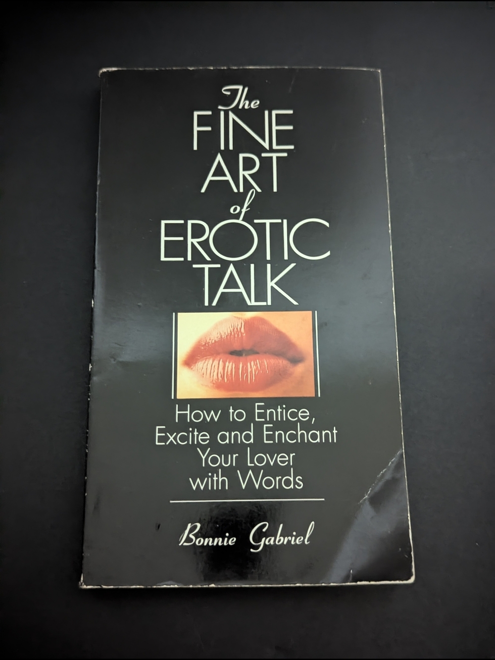 The Fine Art of Erotic Talk by Bonnie Gabriel - Vintage Paperback